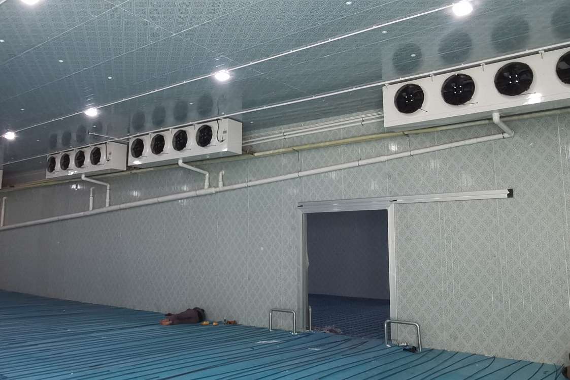 平移門及防撞橍